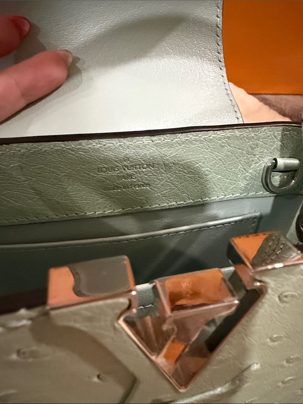 Louis Vuitton Capucines Mini Bag Exotic Ostrich in Mint Green - Picture 10 of 15